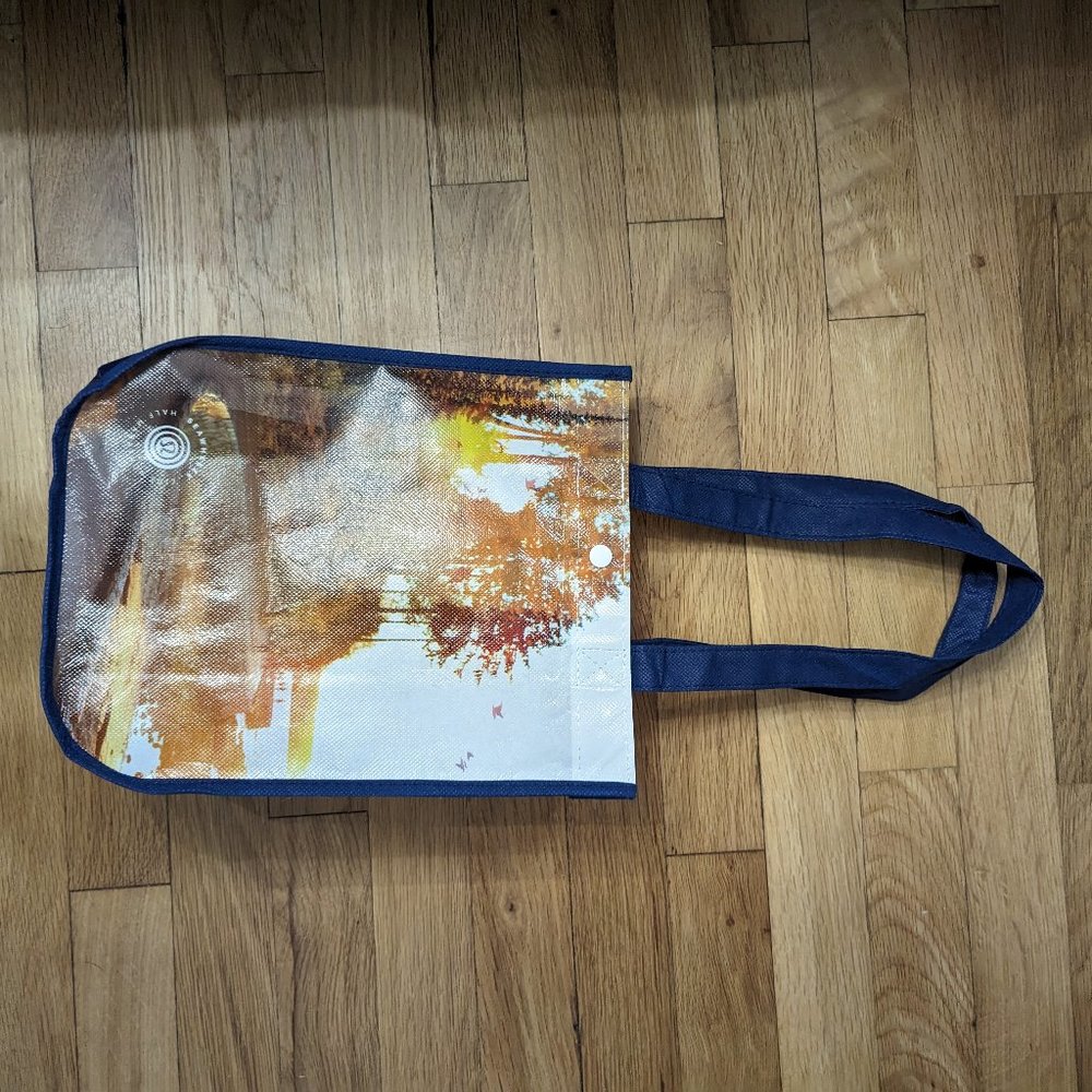 Lululemon Bag